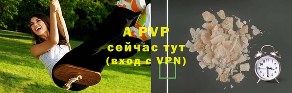 амф Новодвинск