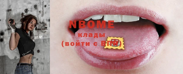 амф Новодвинск