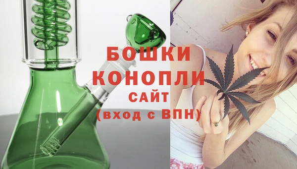 СК Няндома