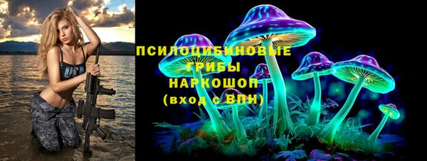 амф Новодвинск